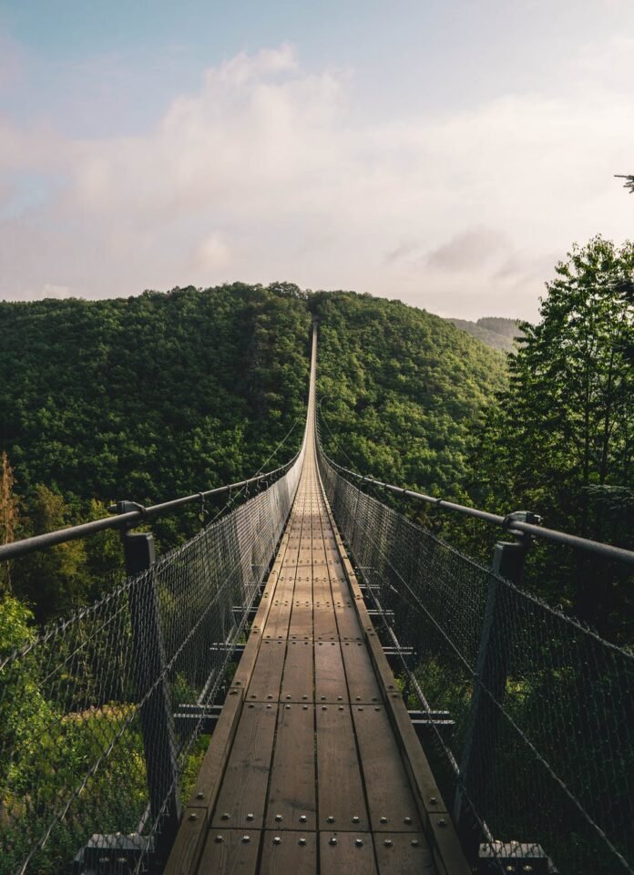 brown wooden bridge over green trees